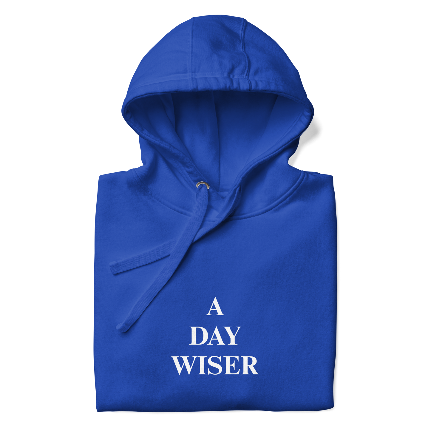 A DAY WISER HOODIE [BLUE]